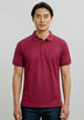 Cherry/Maroon