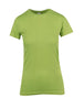 Lime (New)