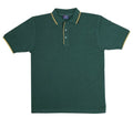 Bottle Green/Gold