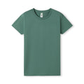 Slate Green